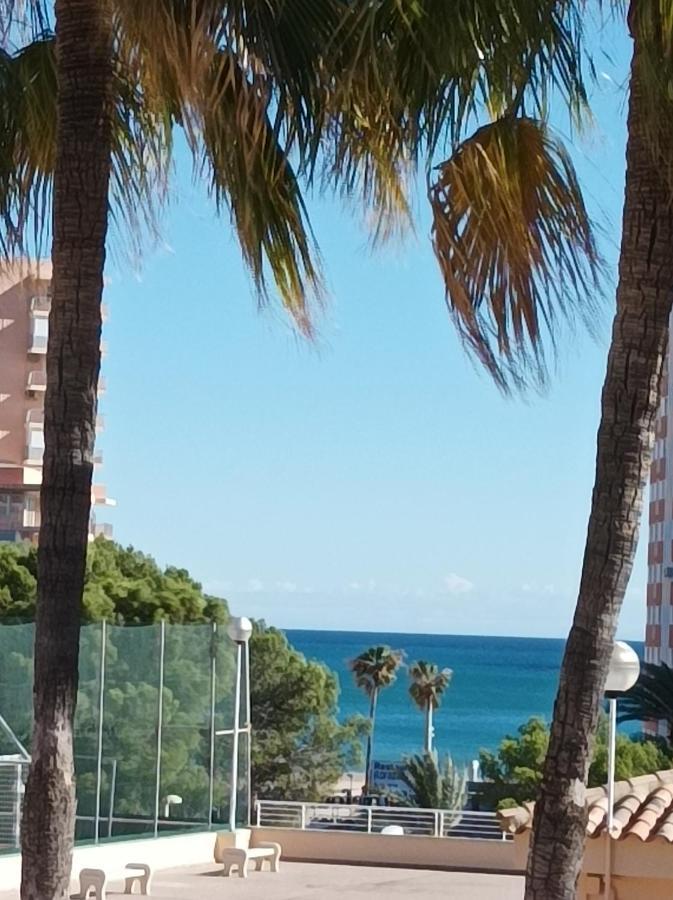 Almar Collection Cullera Bahia Park Exterior foto